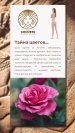 Starter kit N 2 Damask Rose flower water for body care