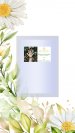 Starter kit N 2 Field Chamomile flower water for body care