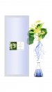 Replaceable module Linden 500 ml flower water