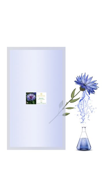 Replaceable module Cornflower 1 000 ml flower water