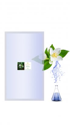 Сменный модуль Жасмина 1 000 мл цветочной воды