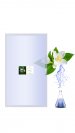 Jasmine replacement module 1000 ml flower water