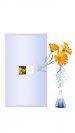 Replacement module Calendula 1 000 ml flower water