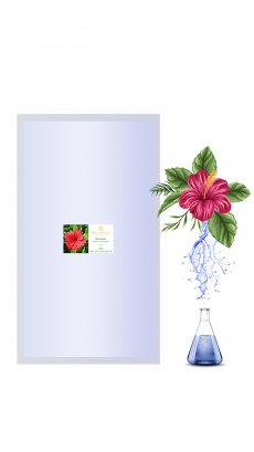 Сменный модуль Каркаде 1 000 мл цветочной воды