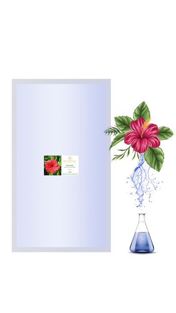 Replaceable module Hibiscus 1 000 ml flower water